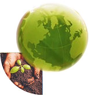 MEDITATION - Earth Stewardship